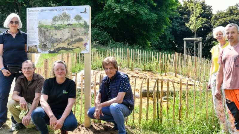 Umweltschutz Langenfeld: Neues Sandarium im Freizeitpark Langfort eingeweiht