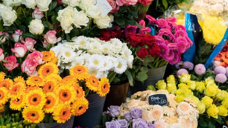 Mehr als 200 Beschäftigte im Kreis Kleve: Floristen fordern Fünf-Tage-Woche für die Branche