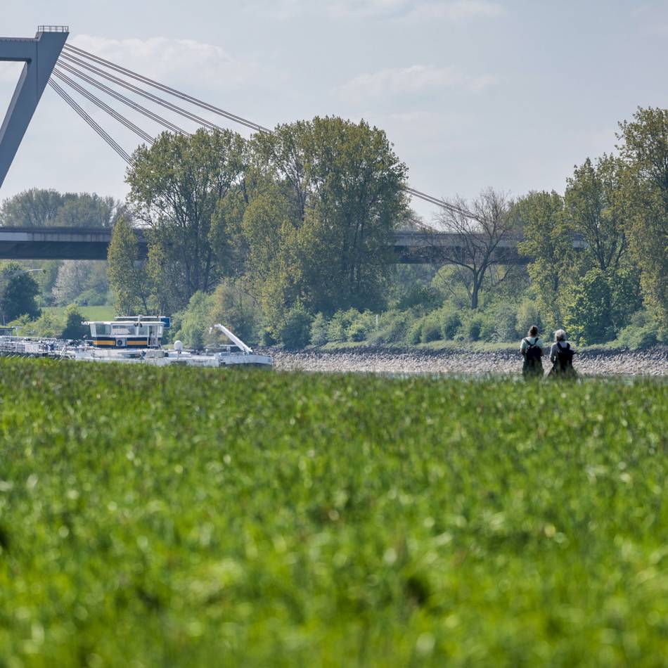 Autobahn in Düsseldorf: Japan-Tag verhindert Sperrung der A44