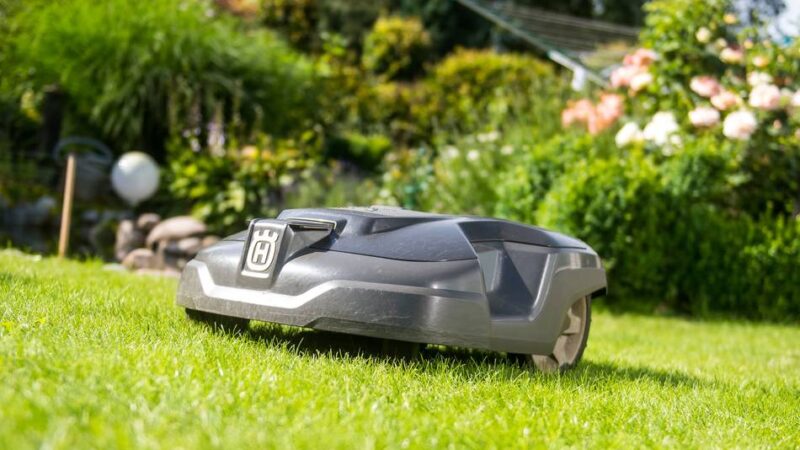 Empfehlung statt Verbot im Kreis Kleve: Mähroboter sollen nur tagsüber arbeiten