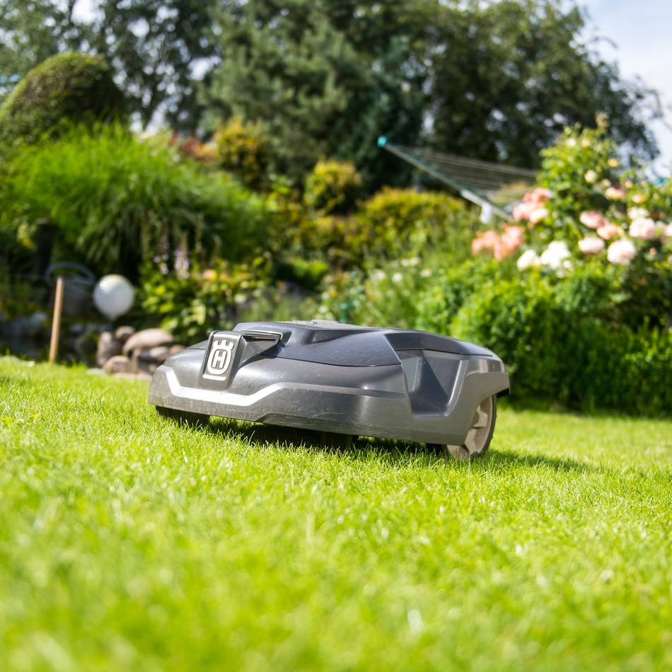Empfehlung statt Verbot im Kreis Kleve: Mähroboter sollen nur tagsüber arbeiten