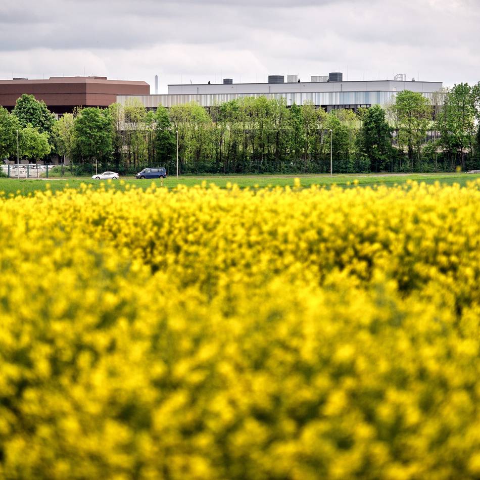 Pläne für Crop Science: Bayer bündelt Pflanzenschutzforschung in Monheim