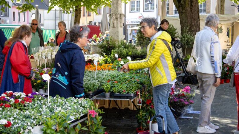 „Eine Superatmosphäre“: Erkelenzer Wochenmarkt zurück im Zentrum