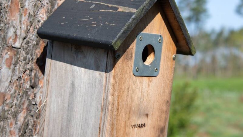 Klimaschutzpreis für nachhaltige Projekte: Die Gemeinde Issum und Westenergie zeichnen Engagement für Umweltschutz aus