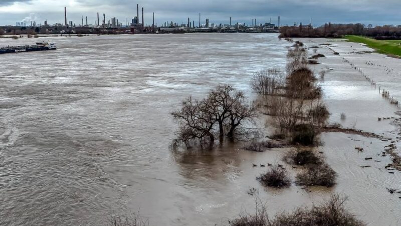 Sicher vor der Flut?: Was die neue Hochwasser App für Langenfeld und Monheim bedeutet
