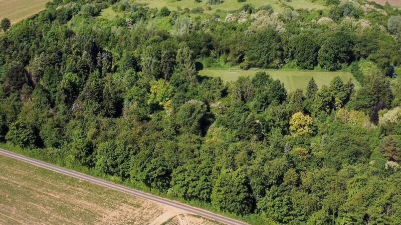Lost Place in Erkelenz: So geht es mit dem Lahey-Park weiter