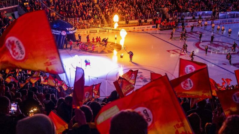 „Auf alle Eventualitäten vorbereiten“: DEG bewirbt sich um DEL-Aufstieg