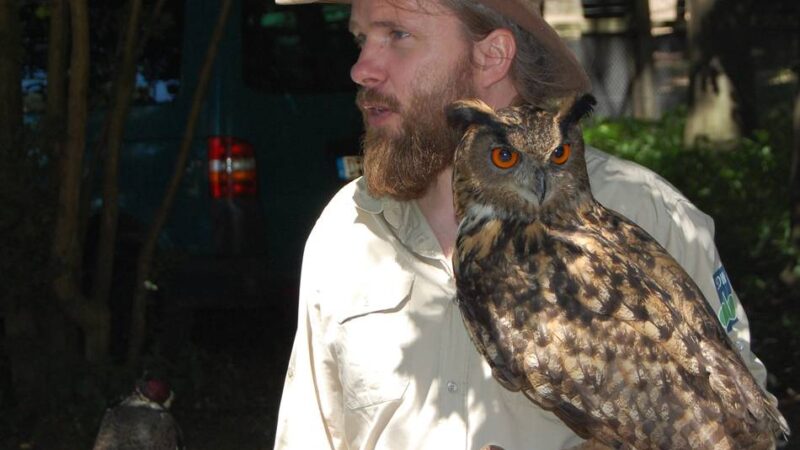 Greifvogelarten kennenlernen: Ferienfreizeit im Wildfreigehege Grevenbroich