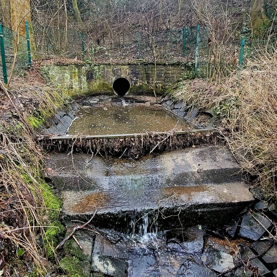Planungsausschuss in Hückeswagen: Stadtpark-Teich verlandet – Sanierung zu teuer
