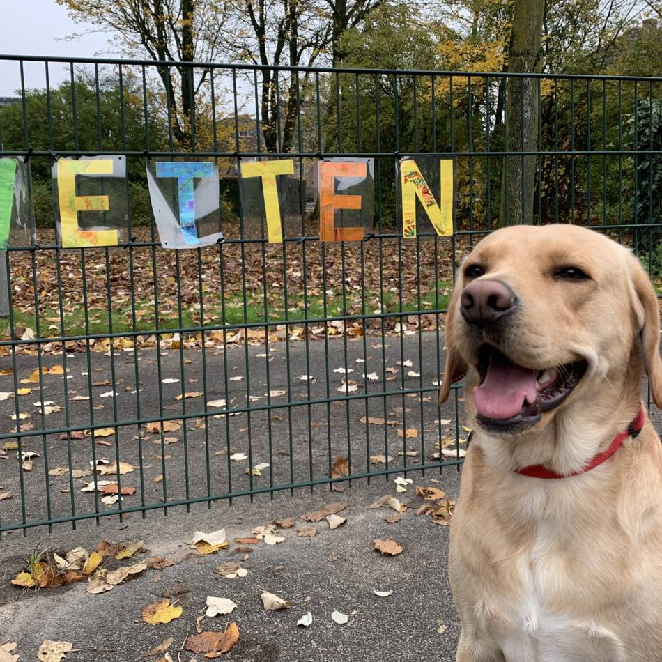 Umfangreiche Erweiterung und Sanierung: Auch Schulhund „Buddy“ freut sich über den Umbau der Grundschule Wetten