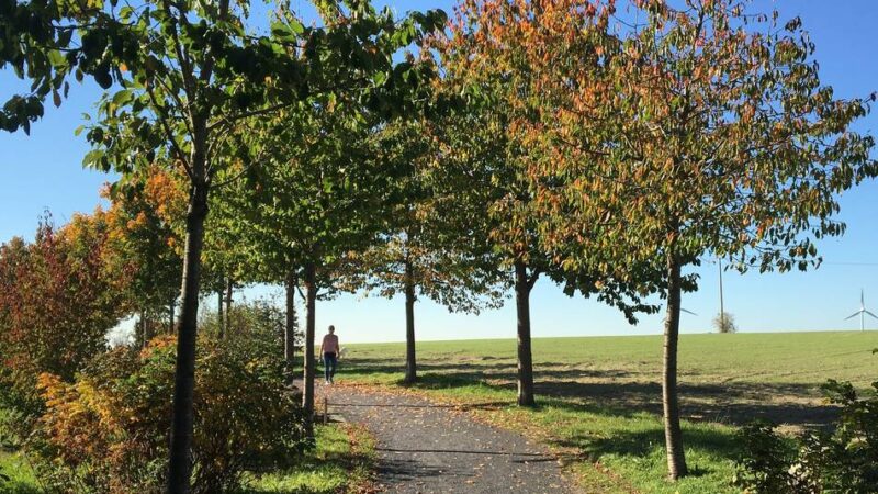 Veranstaltung der Wirtschaftsförderung: Erstes Tourismus-Treffen in Sonsbeck geplant