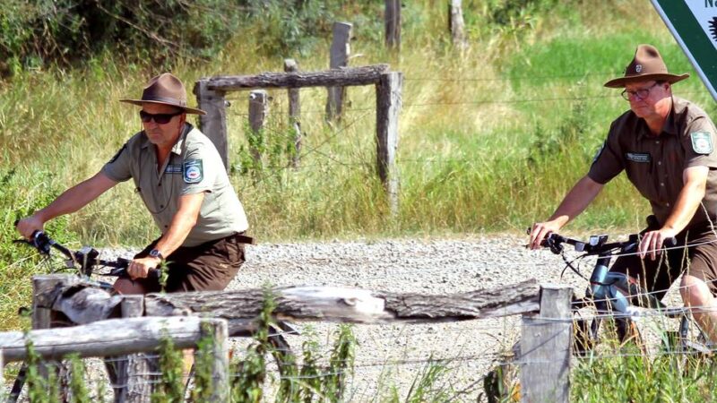 Orsoyer Rheinbogen und Bislicher Insel: Spaziergänge mit den Rangern durch die Natur