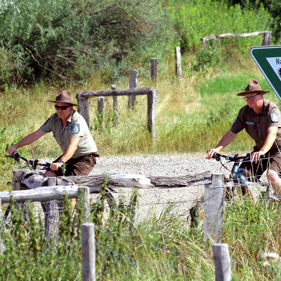 Orsoyer Rheinbogen und Bislicher Insel: Spaziergänge mit den Rangern durch die Natur