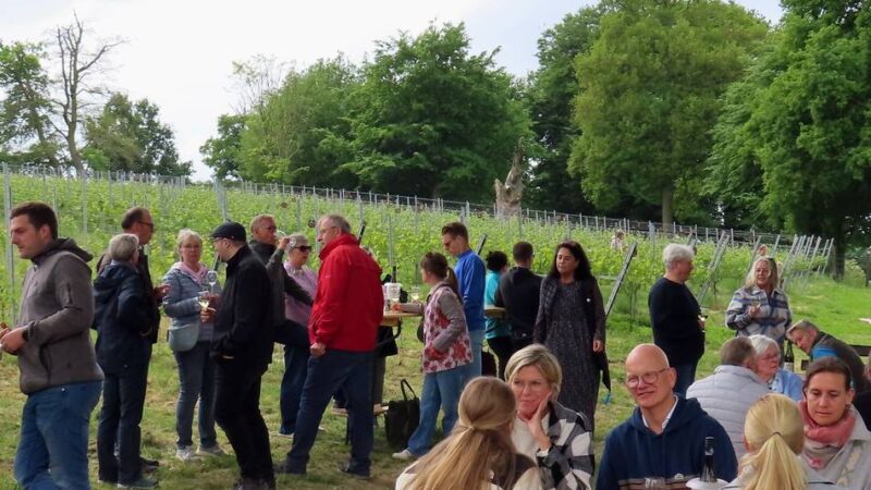 Genuss in Nettetal: Frühschoppen im Hinsbecker Weinberg