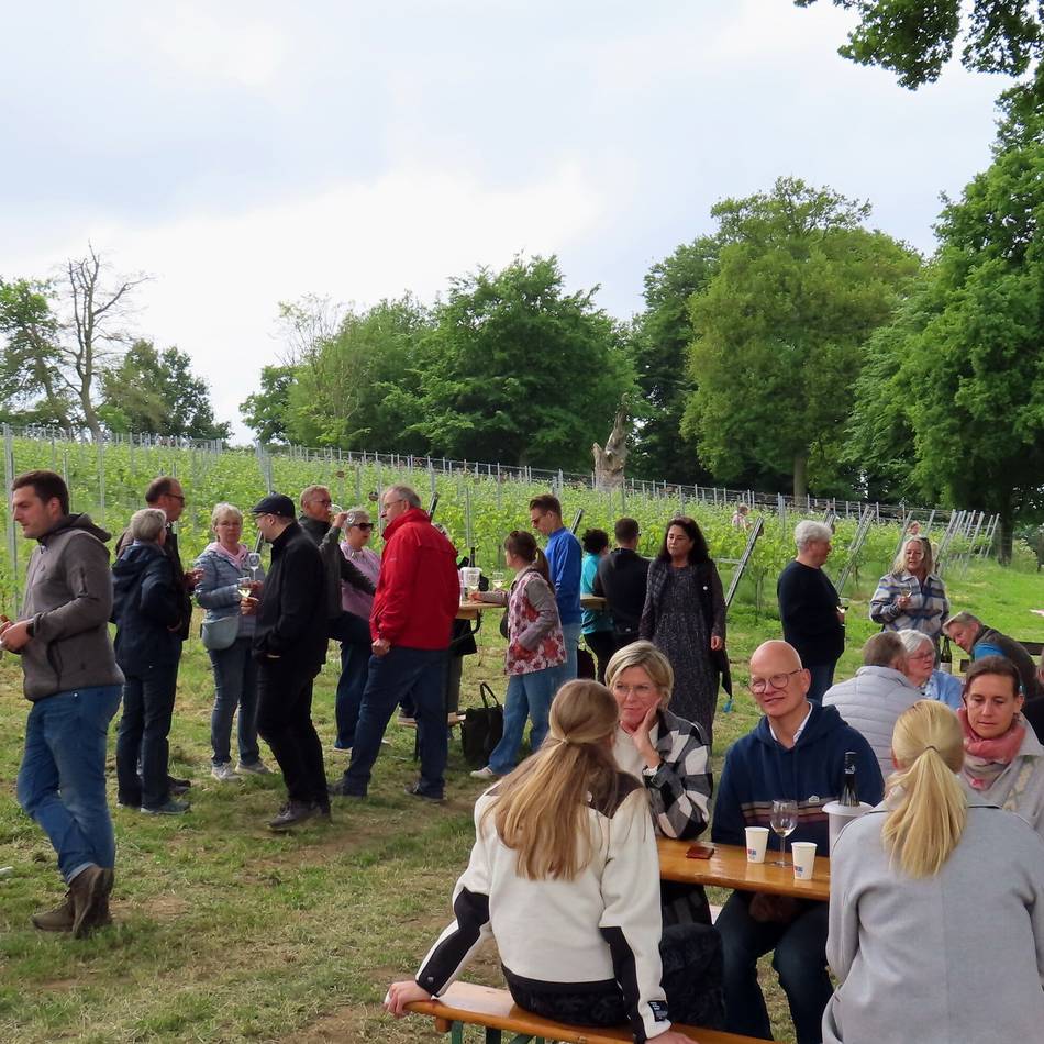 Genuss in Nettetal: Frühschoppen im Hinsbecker Weinberg