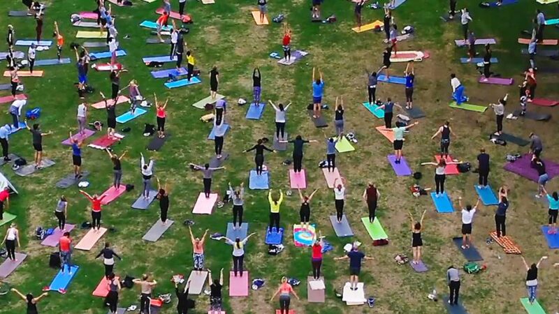 Sport im Park: Das größte Fitnessstudio Düsseldorfs
