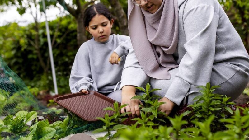 Lange Wartelisten in NRW: Mein Haus, mein Beet, mein Kleingarten