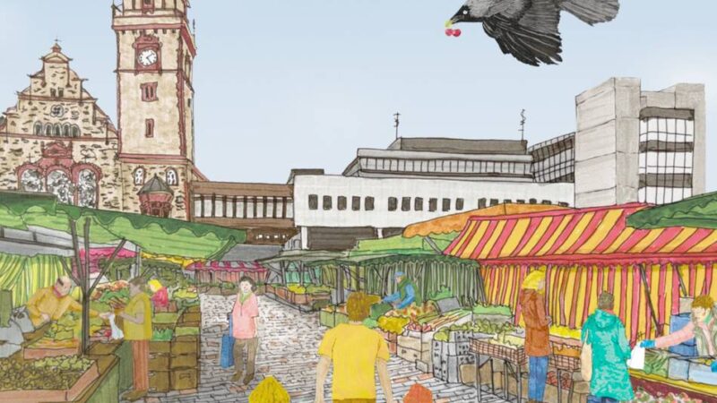 Neues Kinderbuch über Mönchengladbach: Dohle Dolores erkundet die Stadt