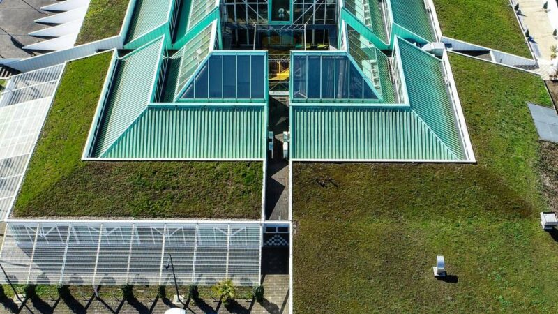 Vergaberecht und Urheberschutz im Fokus: Streit um Mack-Pyramide in Monheim spitzt sich zu