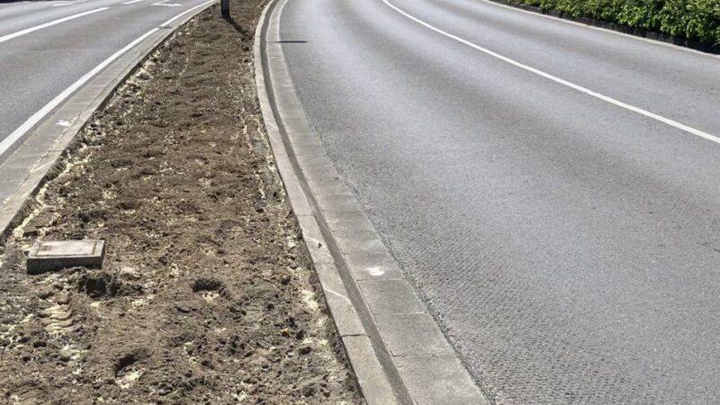 Ist das noch Grünschnitt in Viersen?: Kahlschlag auf dem Mittelstreifen der Freiheitsstraße