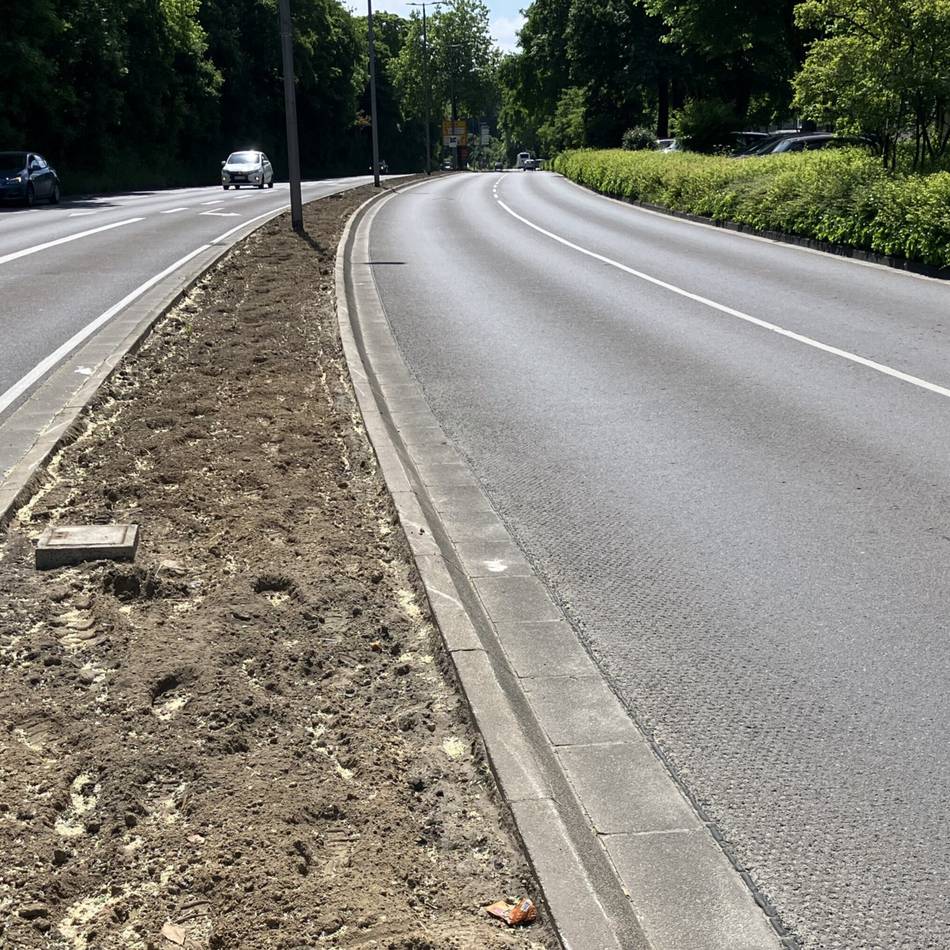 Ist das noch Grünschnitt in Viersen?: Kahlschlag auf dem Mittelstreifen der Freiheitsstraße