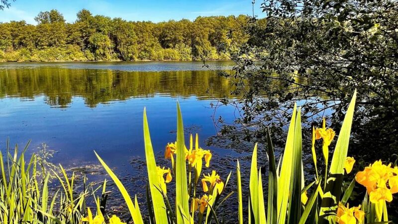 Bußgeld bis 5000 Euro: Fischwilderer an den Nettetaler Seen
