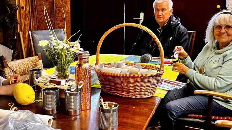 Artenschutz in Nettetal: Wie Wildbienen besser geschützt werden können