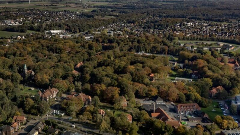 Geschenk an die Bürger: Bedburg-Hau verschickt Blumensamen zum Jubiläum