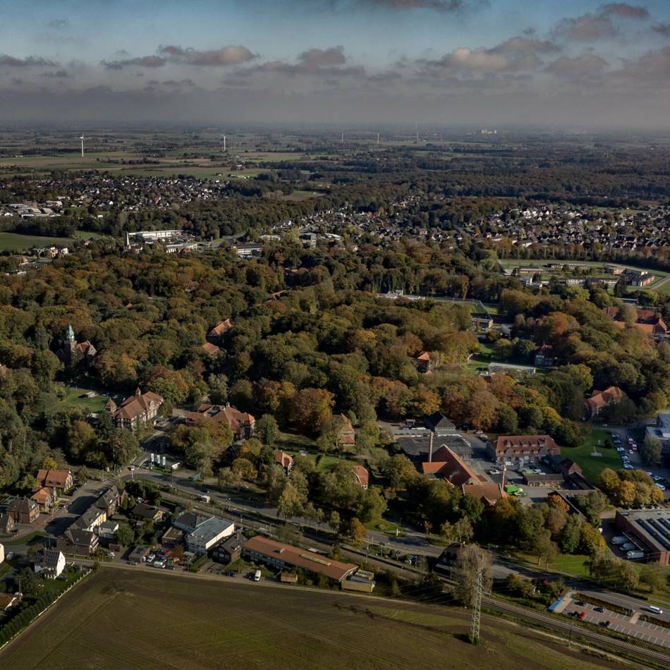 Geschenk an die Bürger: Bedburg-Hau verschickt Blumensamen zum Jubiläum