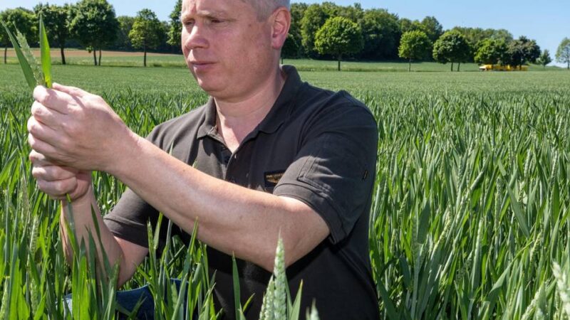 Landwirte im Kreis Viersen besorgt: „Wenn es weiter trocken bleibt, spitzt sich die Lage zu“