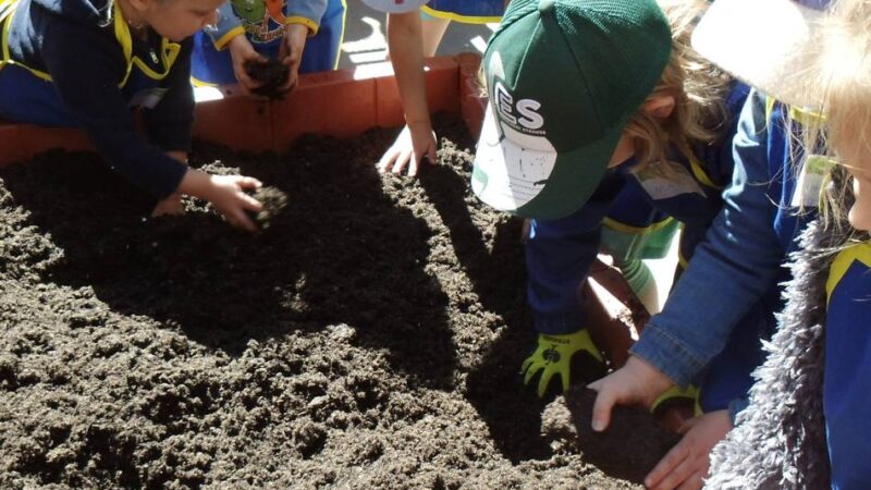 Spende für Wermelskirchener Kita: Kindergartenkinder kümmern sich um Hochbeet