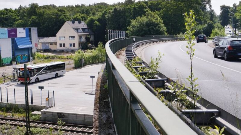 Planungen laufen: SPD fordert Kreisverkehr für Waldviertel Hösel
