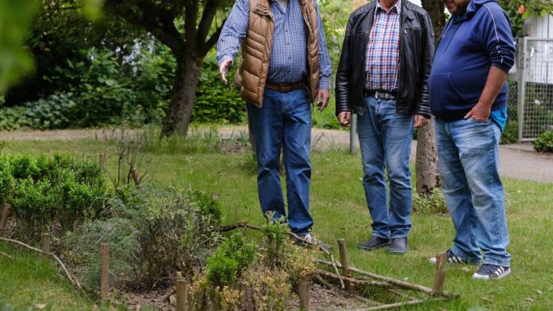 Kleingärten in Ratingen: Klaus Mönch, die Fragen und die Expertentipps