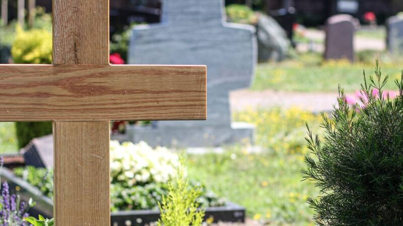 Umweltbeirat in Grevenbroich: Friedhofs-Neugestaltung könnte noch Jahre dauern – Politiker irritiert