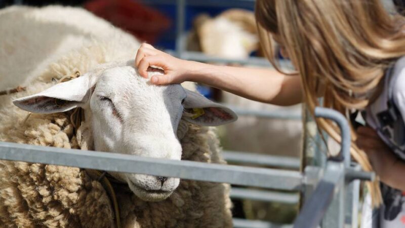 Was ist los im Bergischen Land?: Freizeittipps fürs Wochenende