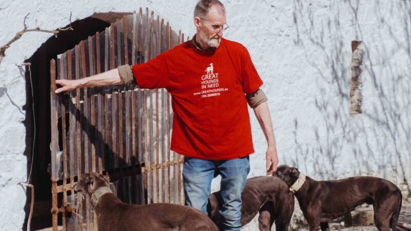 Tierschutzorganisation aus Moers: Veto rettet Windhund-Tierheim in Irland