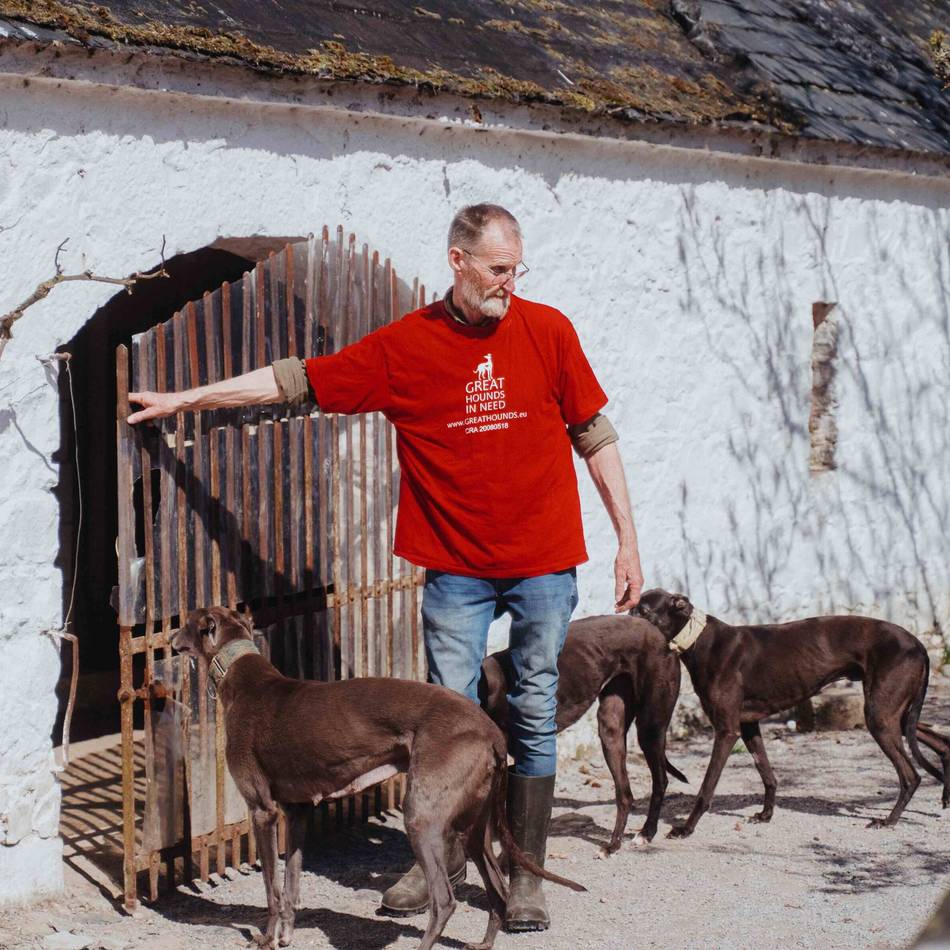 Tierschutzorganisation aus Moers: Veto rettet Windhund-Tierheim in Irland
