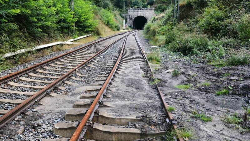 Gesperrter Abschnitt: S 6: Arbeiten an der Strecke beginnen Mitte Juni