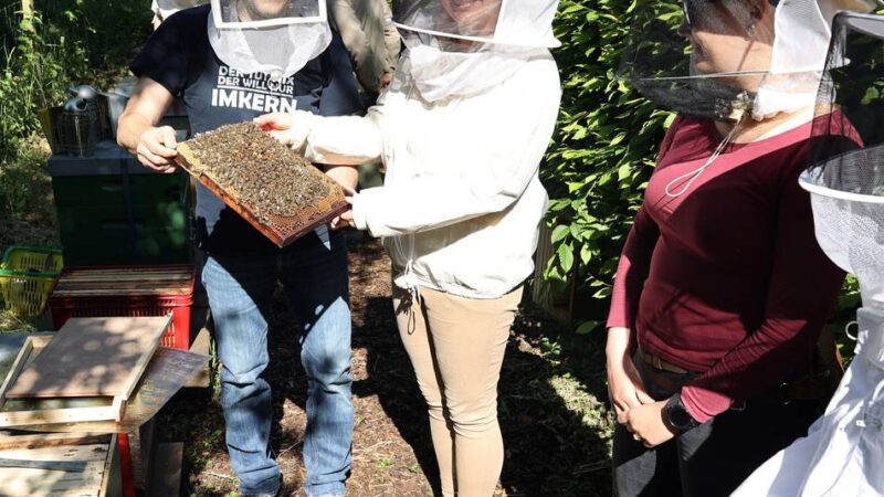 Auf der Hochzeitswiese in Korschenbroich: Schnupperkurs für potenzielle Imker und ein Date mit Bienen