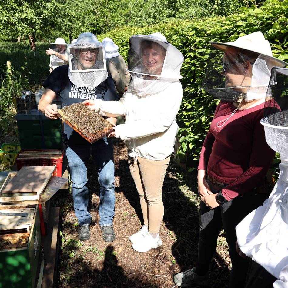Auf der Hochzeitswiese in Korschenbroich: Schnupperkurs für potenzielle Imker und ein Date mit Bienen