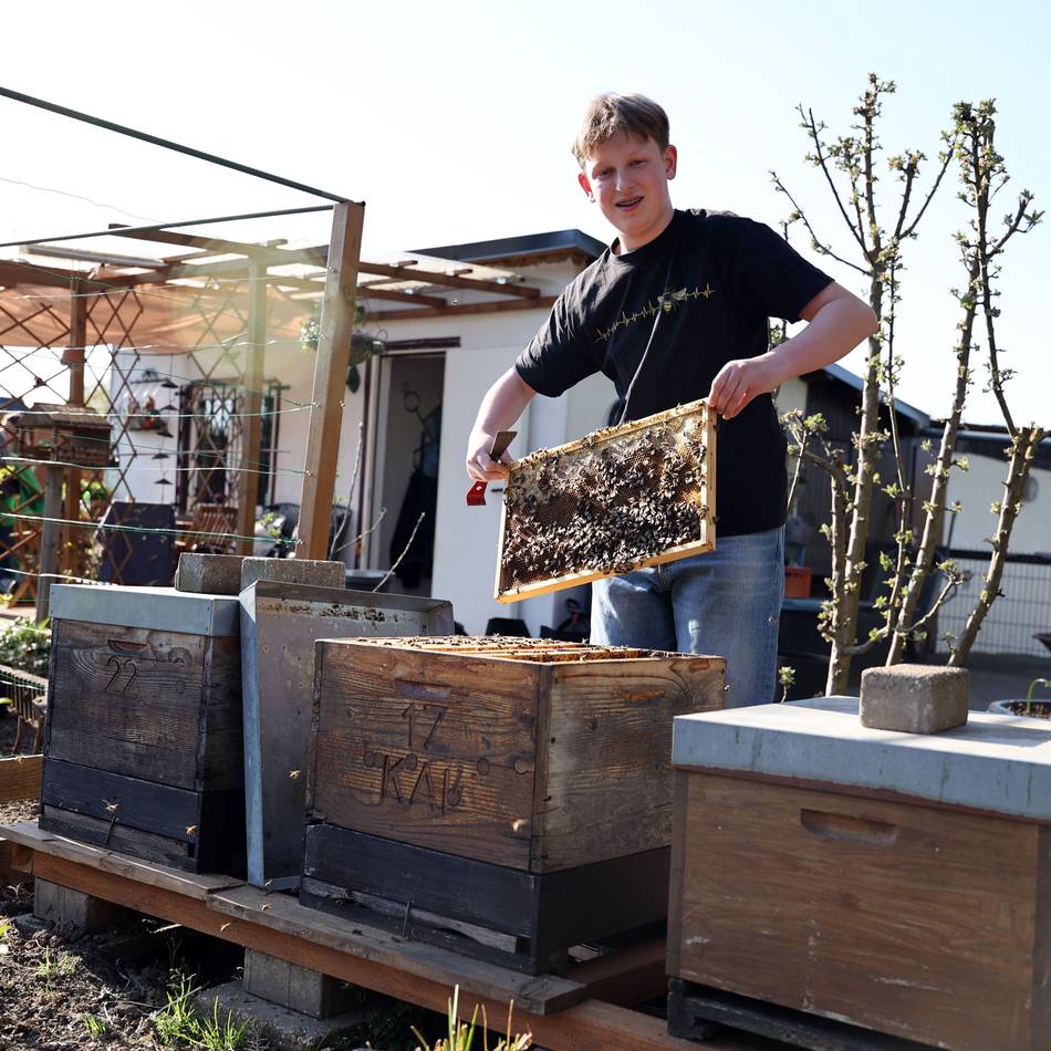 „Faszinierend, wie sie zusammenleben und kommunizieren“: 14-jähriger Mönchengladbacher mit den Bienen auf Augenhöhe