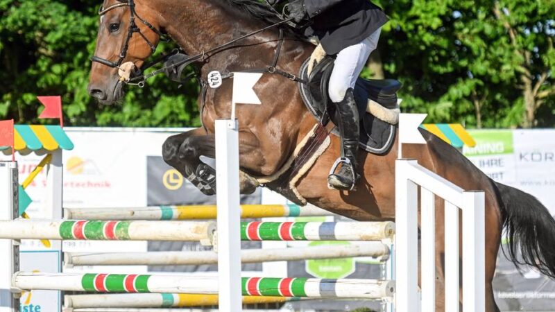 Sehenswerter Dressur- und Springsport: Wenn Emma und Air Maxx über die Ziellinie fliegen