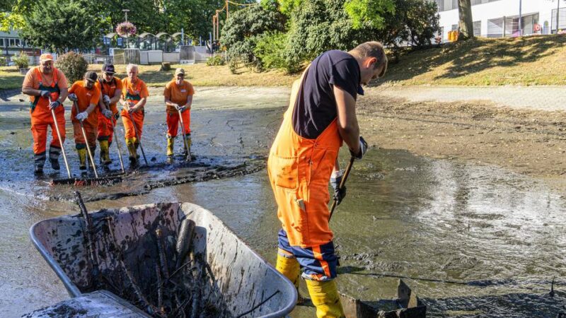 Künstliches Gewässer in Moers: Frisches Wasser für den Königsee