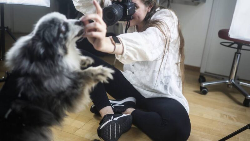 Praxisjubiläum in Oberkassel: Hunde-Fotoshooting zum Praxisjubiläum