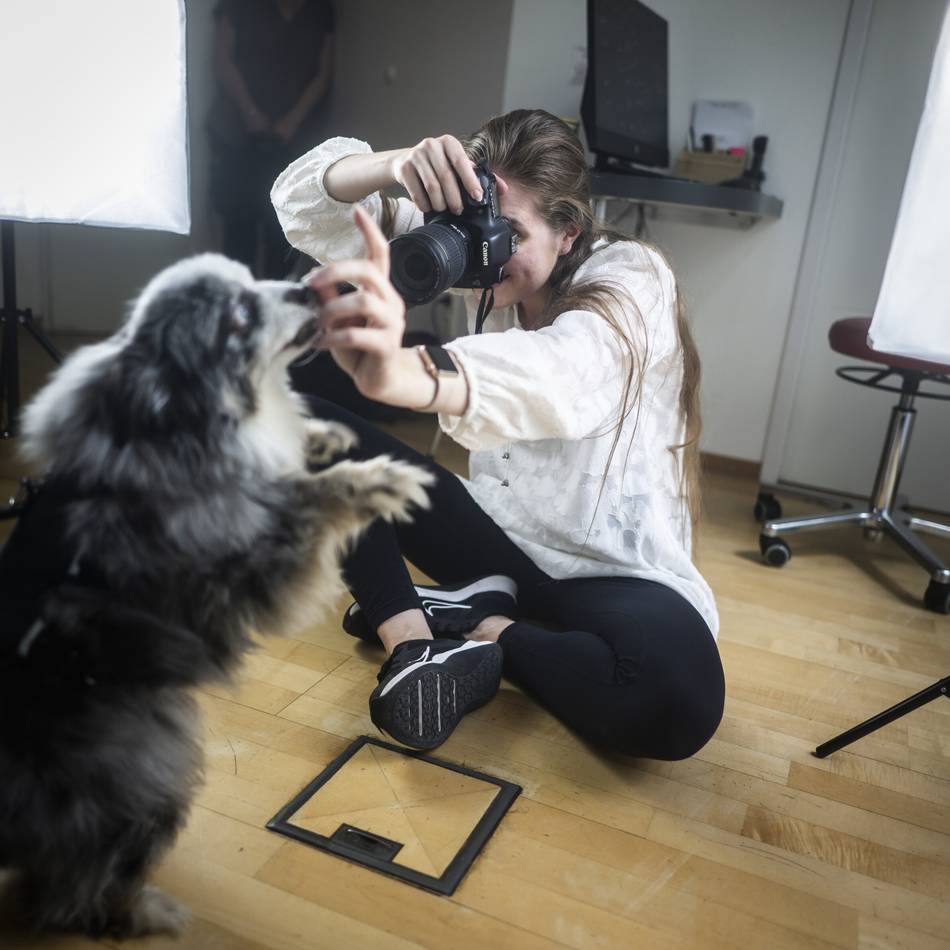 Praxisjubiläum in Oberkassel: Hunde-Fotoshooting zum Praxisjubiläum