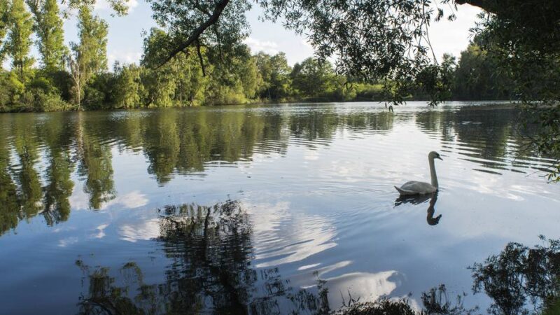 Auch am Niederrhein: Naturparke laden zu langem Wochenende ein