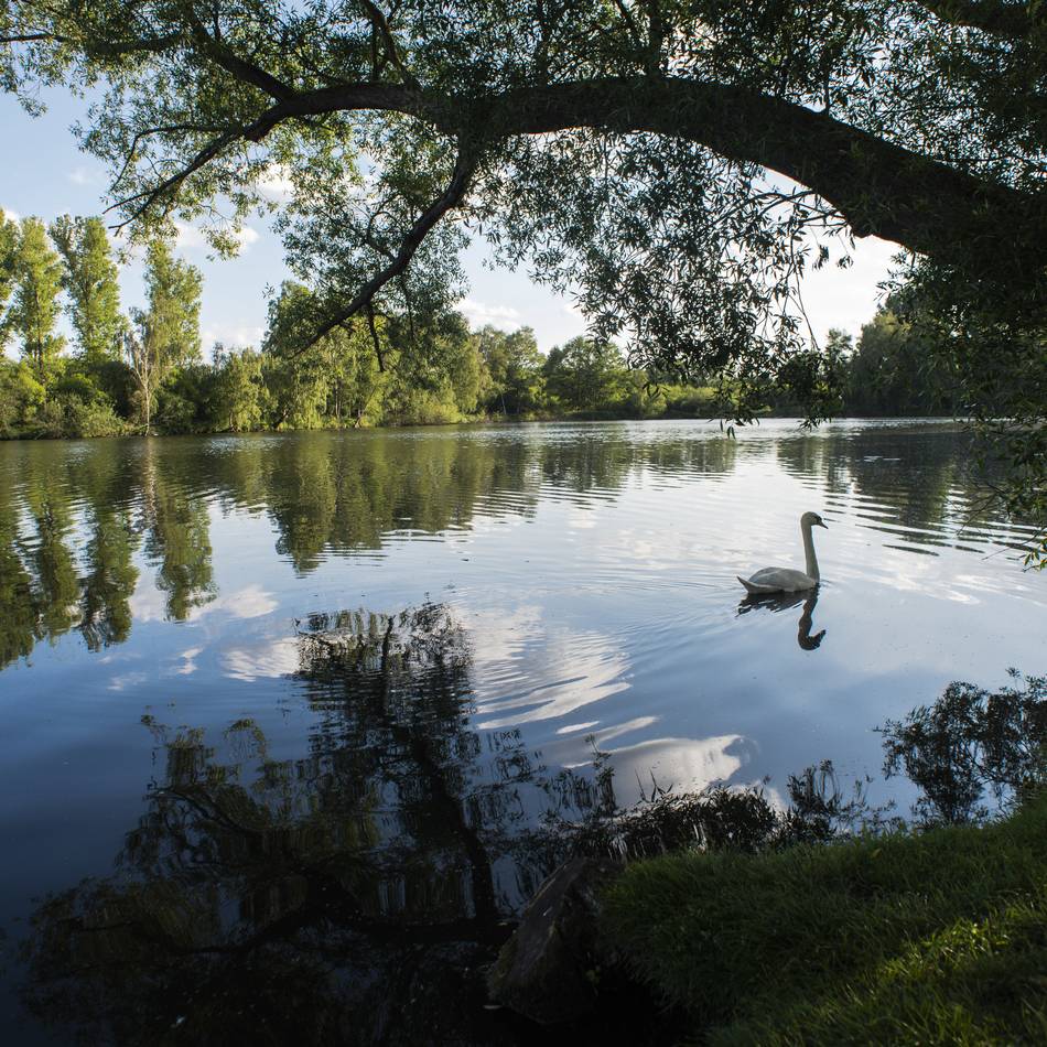 Auch am Niederrhein: Naturparke laden zu langem Wochenende ein