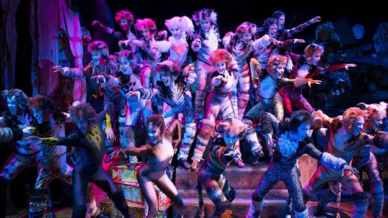 Das ist diese Woche in Düsseldorf los: Kabarett, Kammerkonzert, Kino – und Katzen