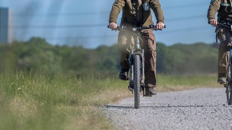 Naturschutz in Duisburg: Wie Ranger in der Rheinaue die Seeadler schützen