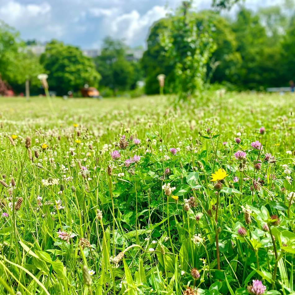 Großes Fest im Diepenpark: 25 Jahre Engagement für Kinder